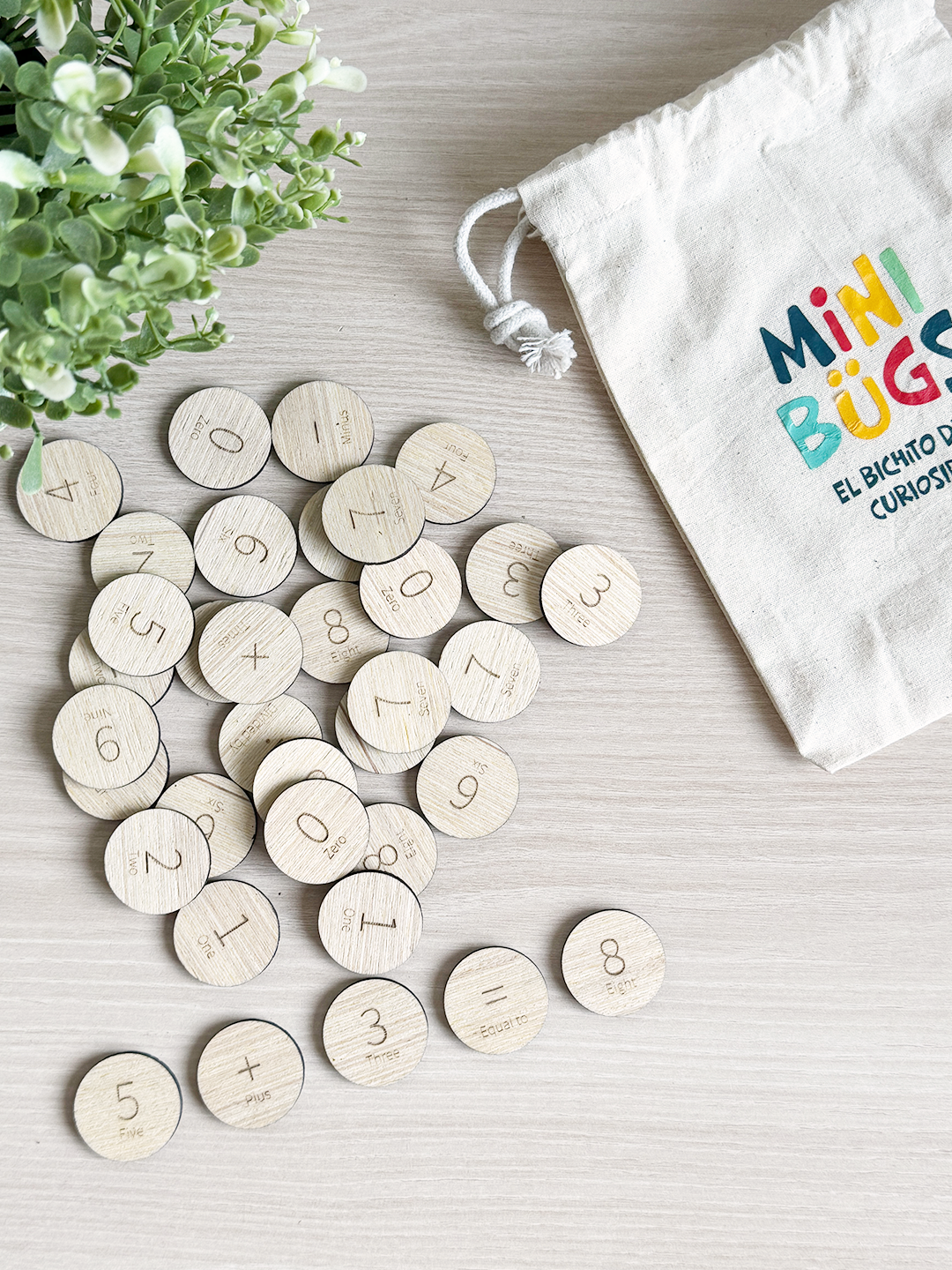 Set de Matemática Básico en Inglés